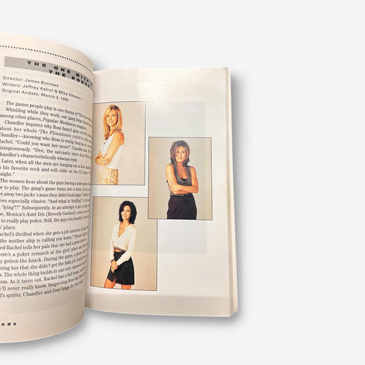 Friends - The Official Companion 1995 Paperback Book (David Wild)