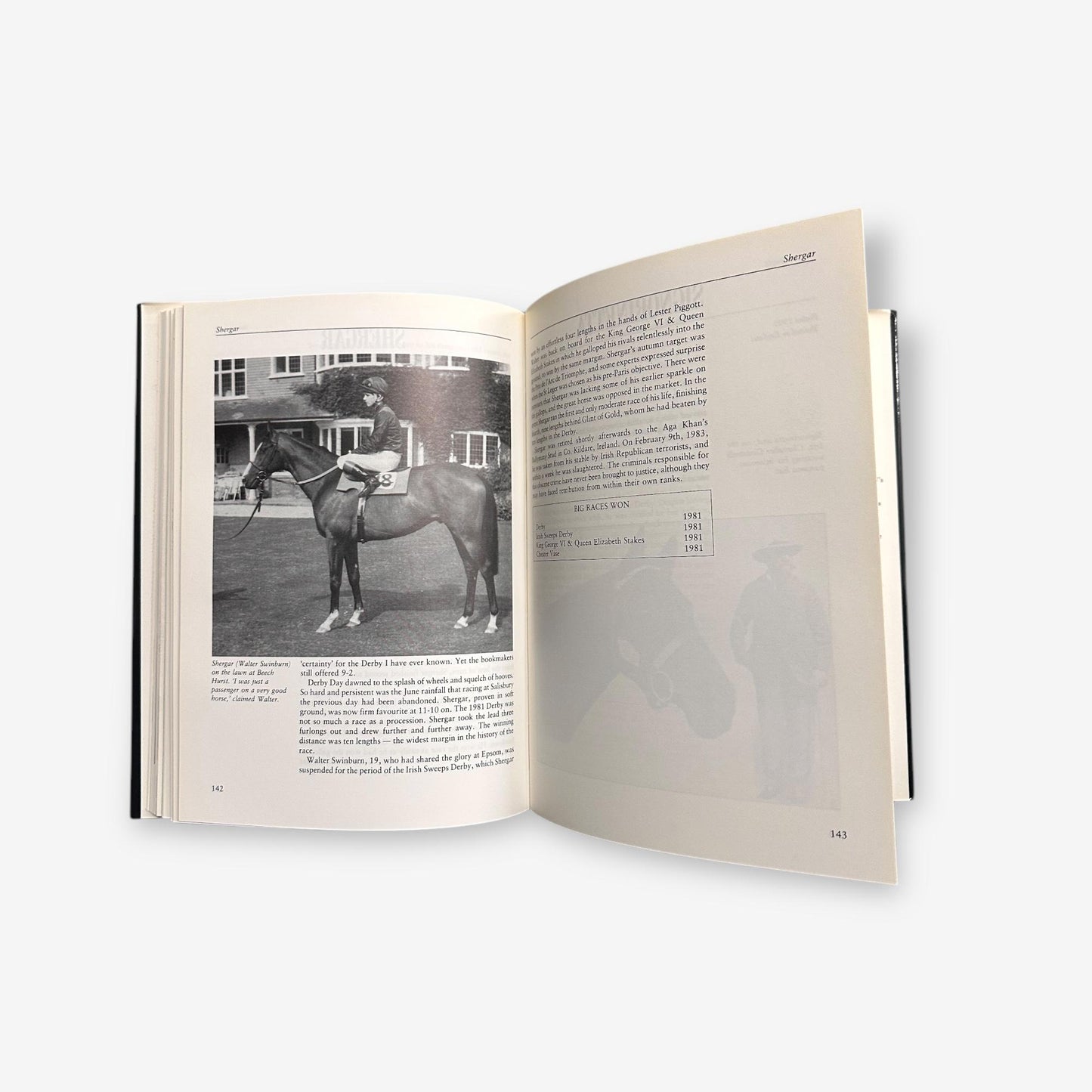 Julian Wilson's 100 Greatest Racehorses 1987 Hardback Book (Julian Wilson)