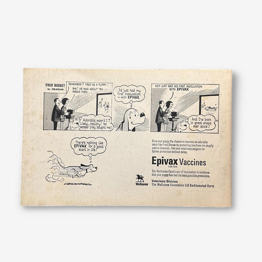 Fred Basset The Hound That's Almost Human No.21 - Comic Joke Book