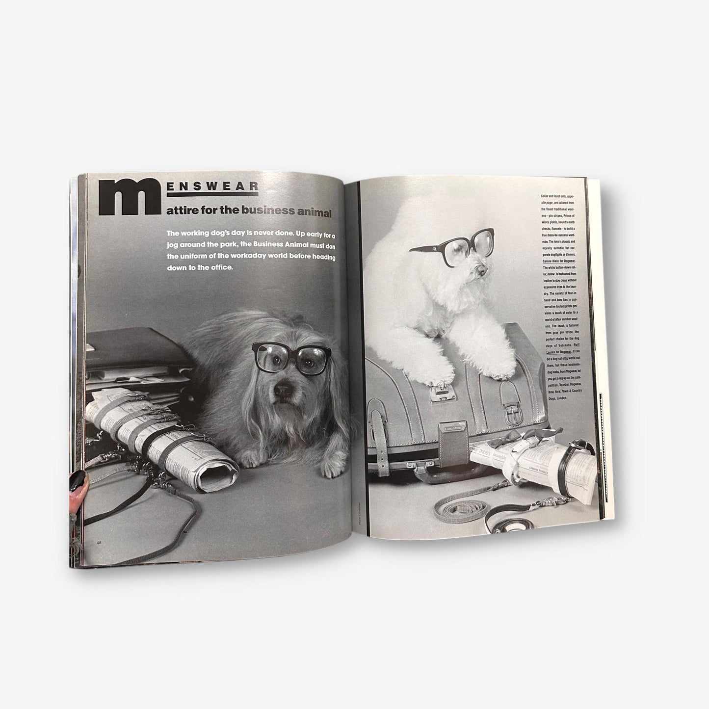 Douge - Woof (A Parody Of The World's Most Famous Fashion Magazine) - Paperback Book/Magazine 19