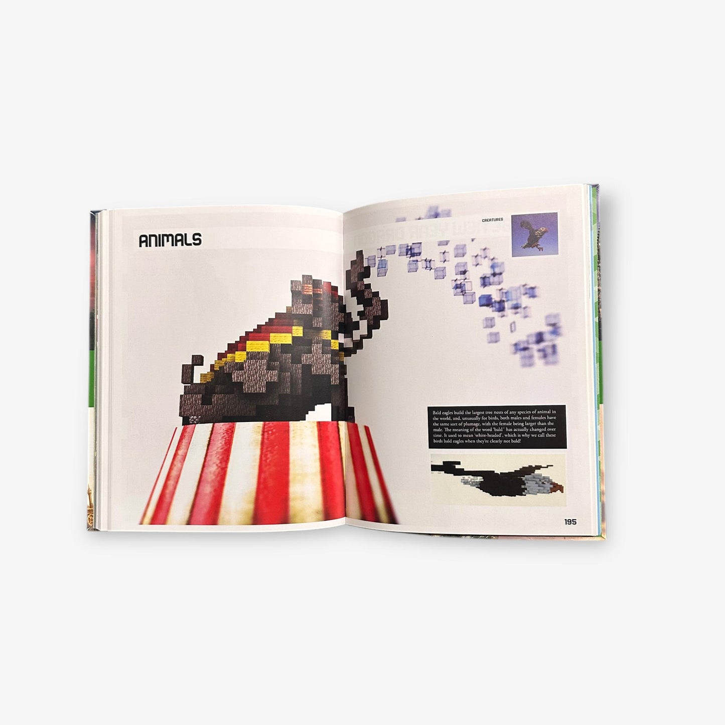 Create And Construct - Super Structures In Minecraft 2016 Paperback Book (Kirsten Kearney)