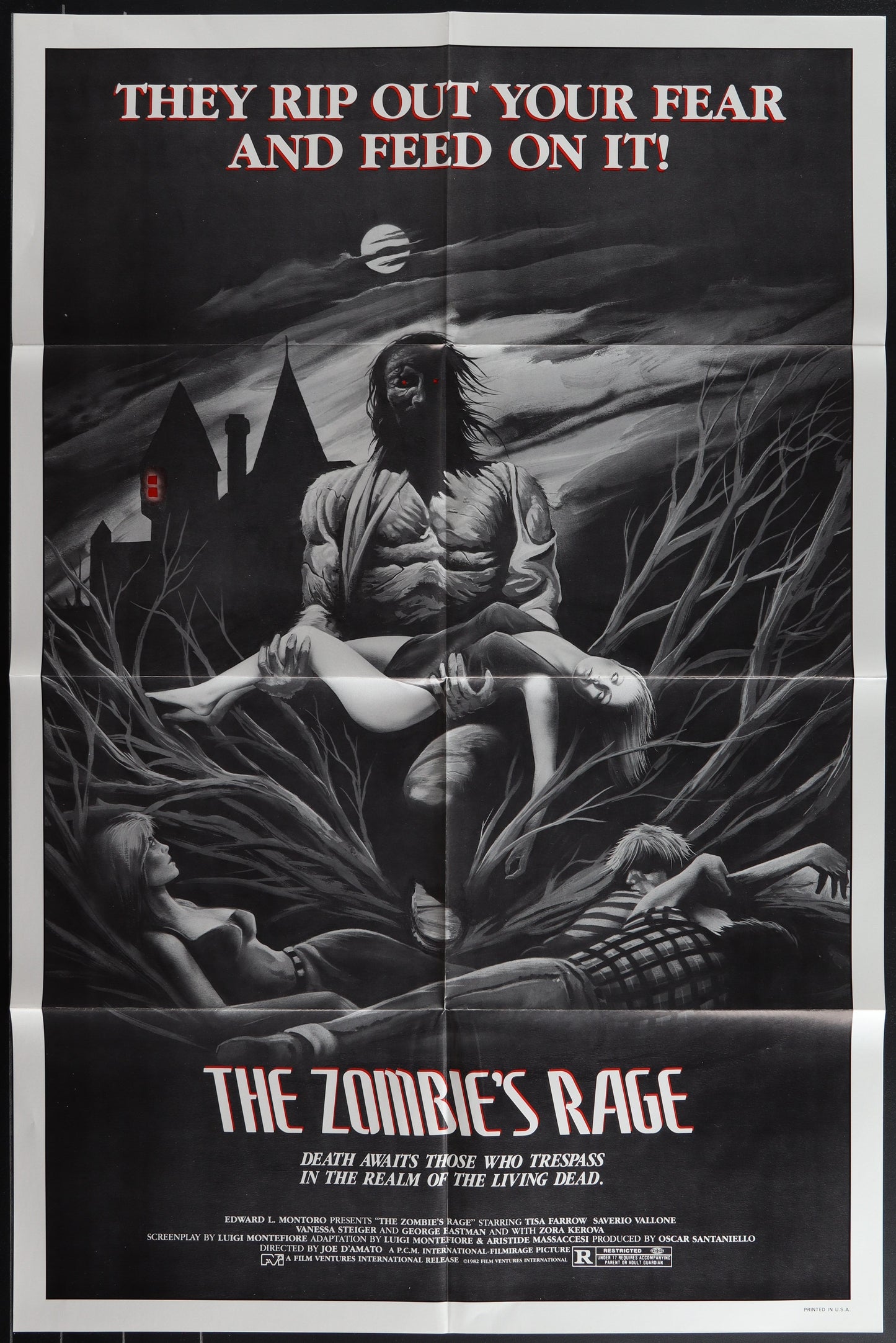 The Zombie's Rage (1982 Re-Release) Original US One Sheet Movie Poster