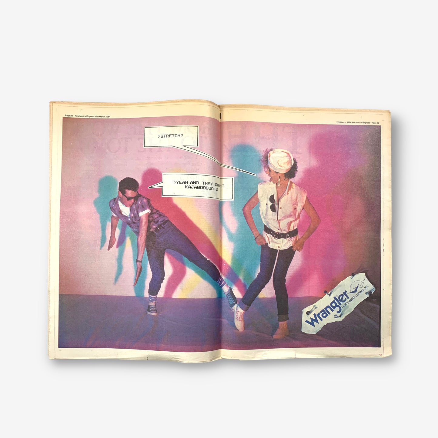 1984 Foetus - Diary Of A Sick Man - NME Magazine