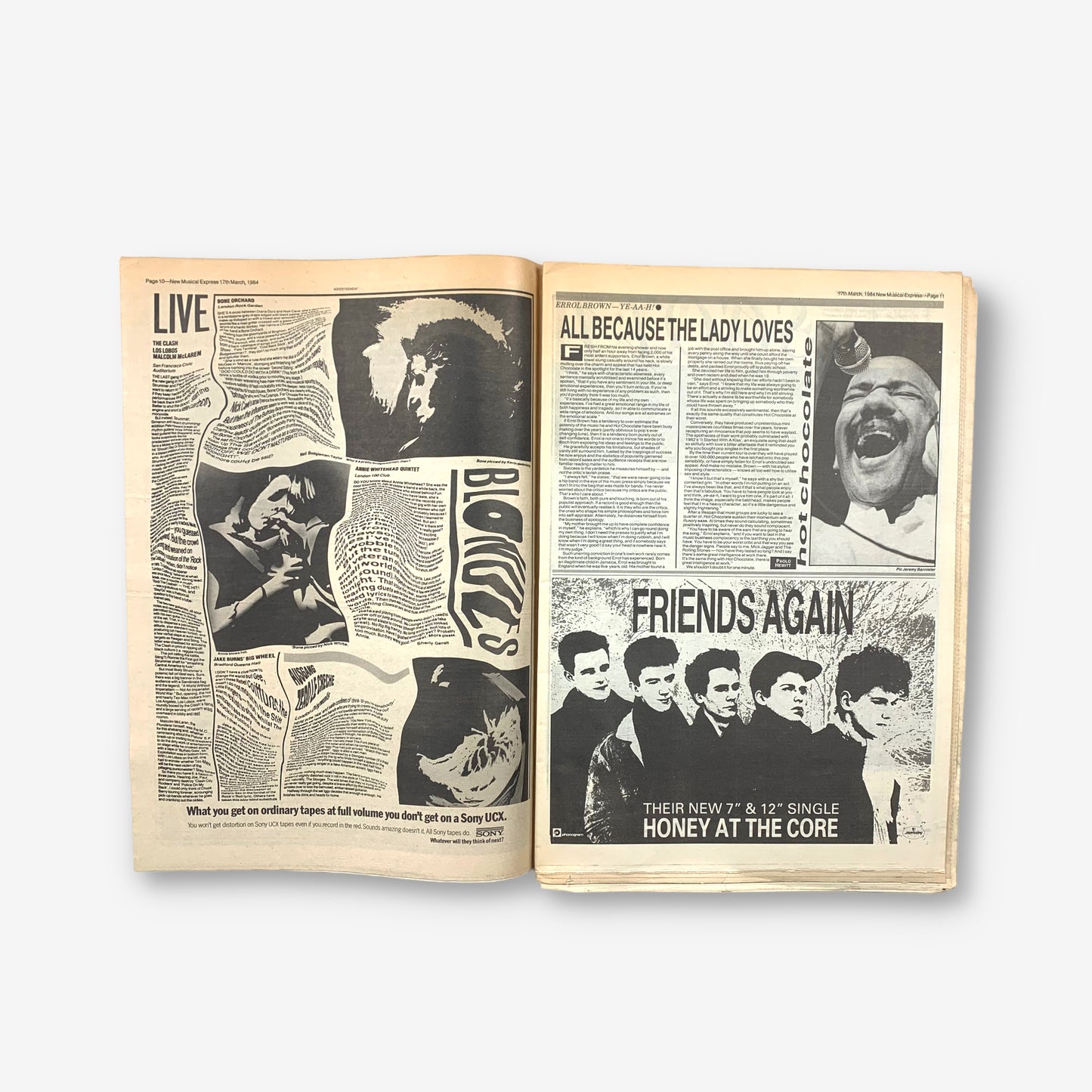 1984 Foetus - Diary Of A Sick Man - NME Magazine