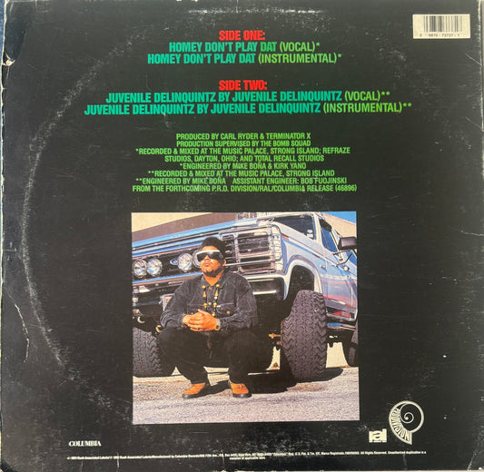 Terminator X – Homey Don't Play Dat (1991) – 12" Hip Hop Vinyl