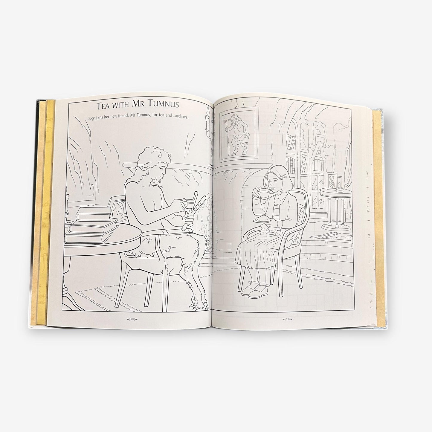 The Chronicles Of Narnia - The Lion, The Witch And The Wardrobe - Hardback Activity Book (Sadie Ches
