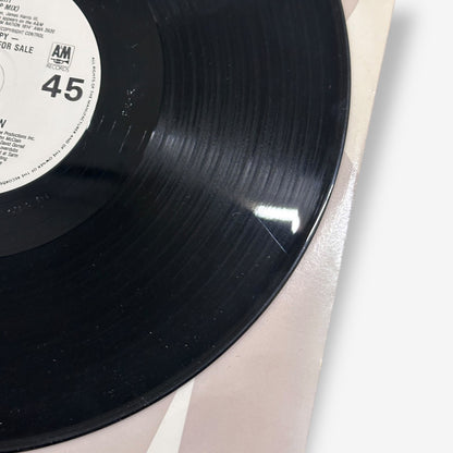 Janet Jackson - Alright (Promo) Vinyl Record 1990