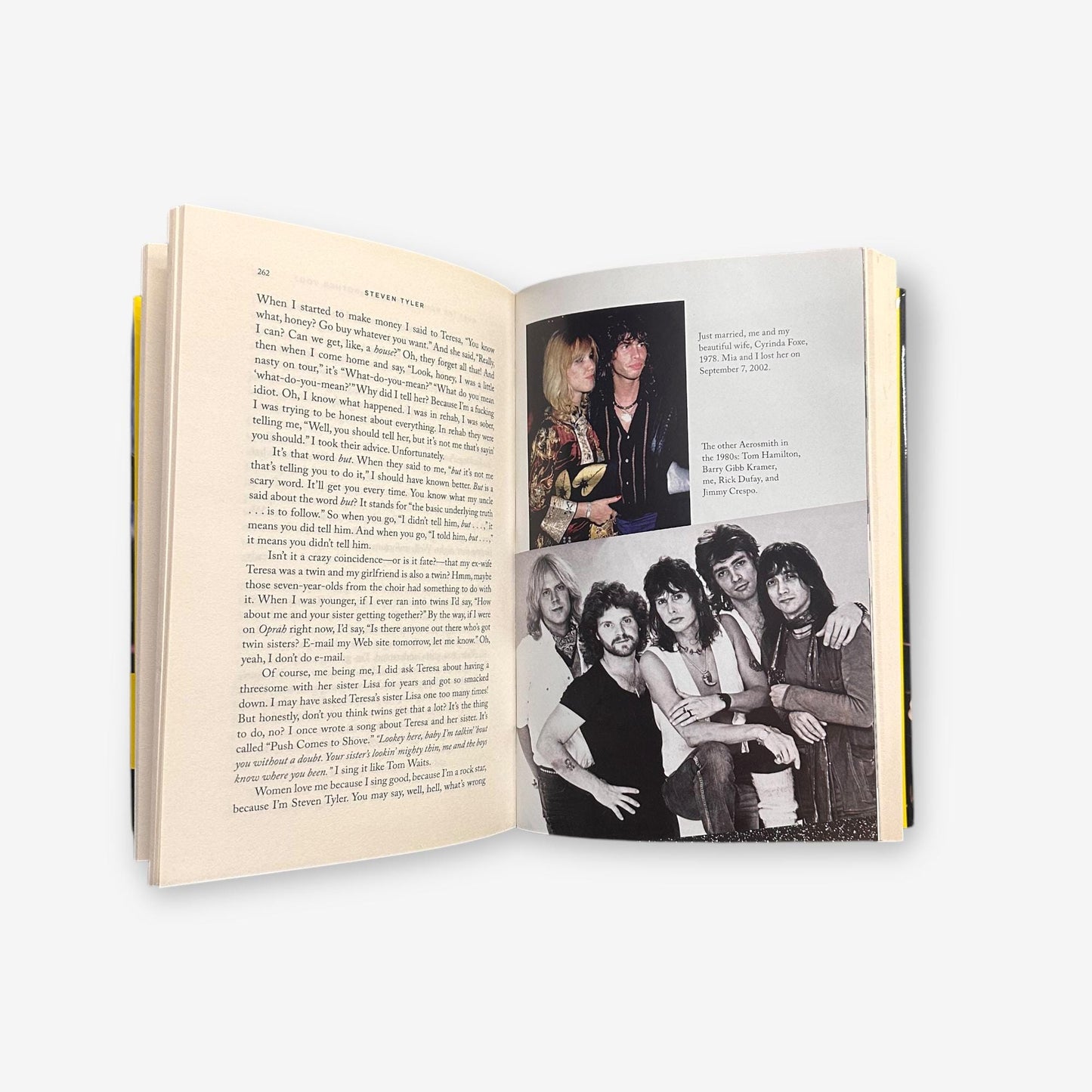 Steven Tyler - Does The Noise In My Head Bother You? - 2011 Hardback Autobiography Book