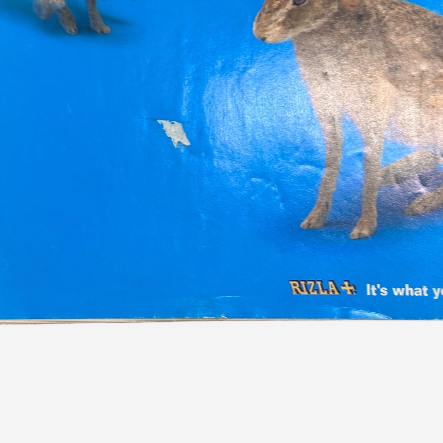 2008 Blur - Reunited! - NME Magazine