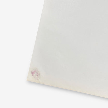 John Travolta - Sandy Vinyl Record With Poster 1978