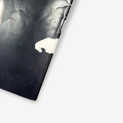 1992 James - The Wedding Present - Lime Lizard Magazine