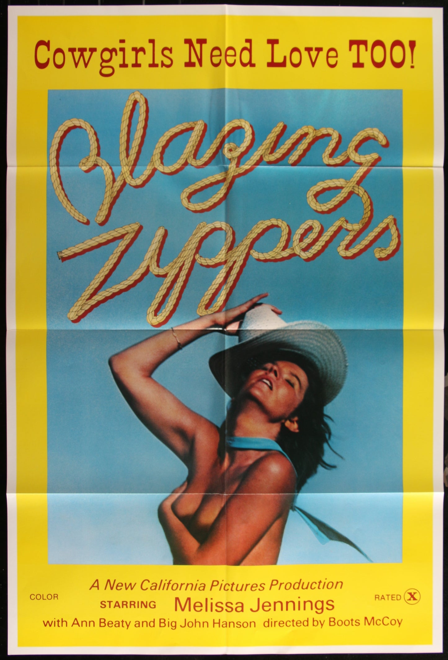 Blazing Zippers (1974) Original US One Sheet Cinema Poster – Vintage Film Art
