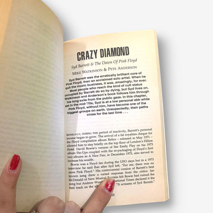 The Q/Omnibus Press Rock 'N' Roll Reader - 1994 Paperback Book (Danny Kelly)