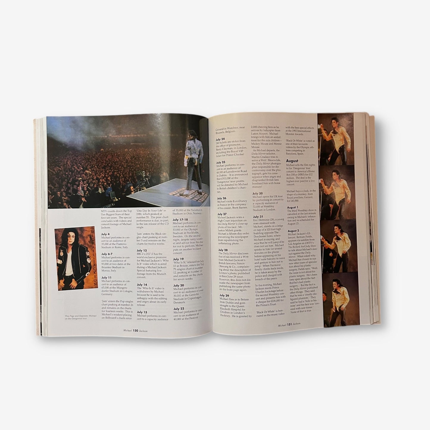 Michael Jackson - A Visual Documentary  - 2009 Paperback Book (Adrian Grant)