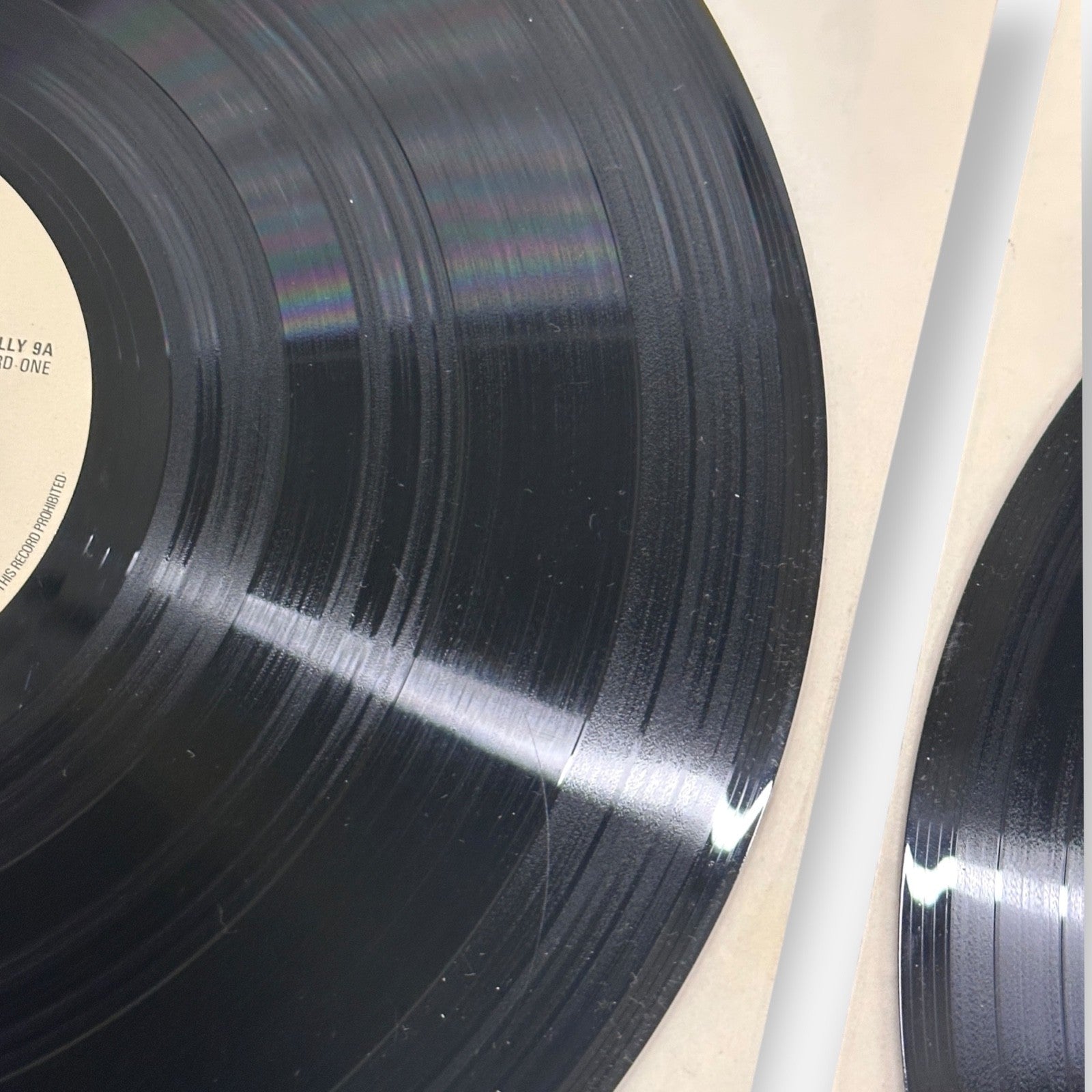 The Royal Tribute Vinyl Record 1981