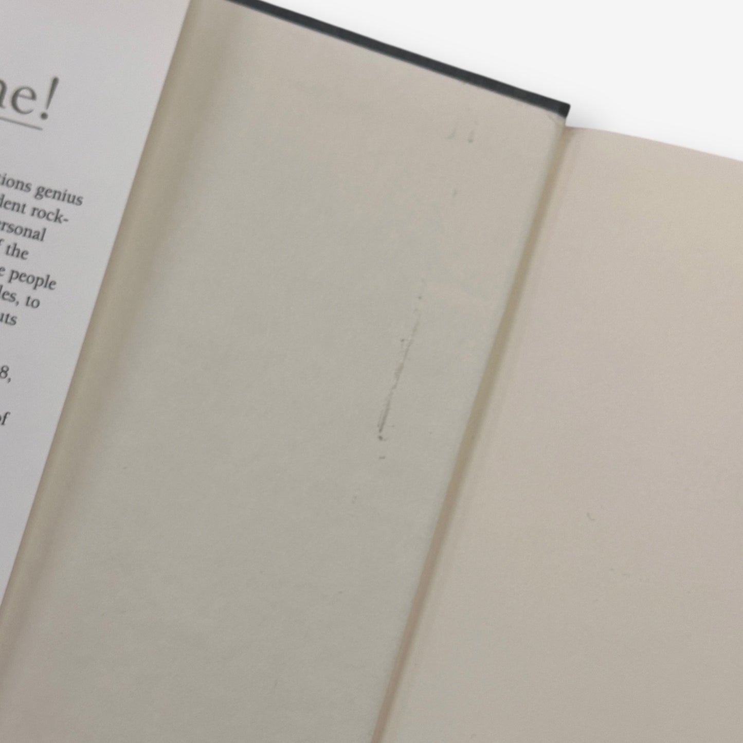 The John Lennon Affair Hardback Autobiography Book (Robert S. Levinson) 2001