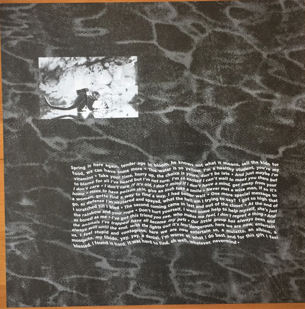 Nirvana – Nevermind (30th Anniversary Edition) Grunge / Rock · Limited Edition Box Set