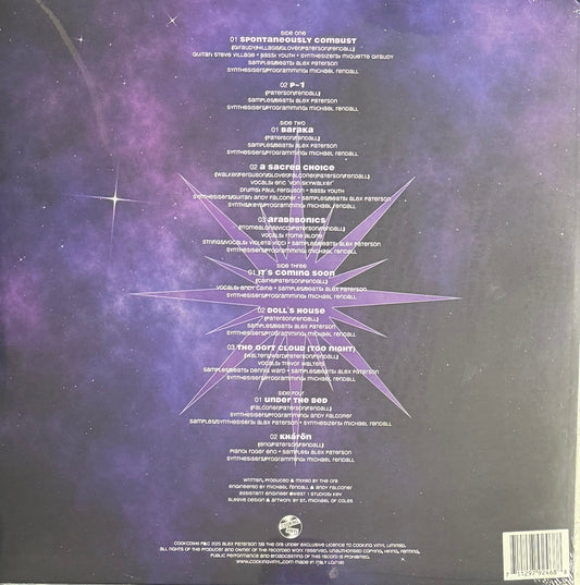 The Orb – Buddhist Hipsters – Cooking Vinyl – 2025