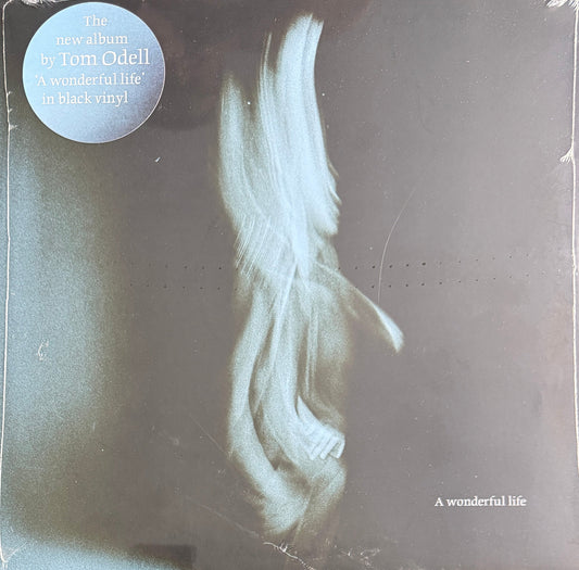 Tom Odell – A Wonderful Life – UoK Studios – 2025